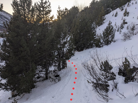 Retour à ski passage à travers les sapins